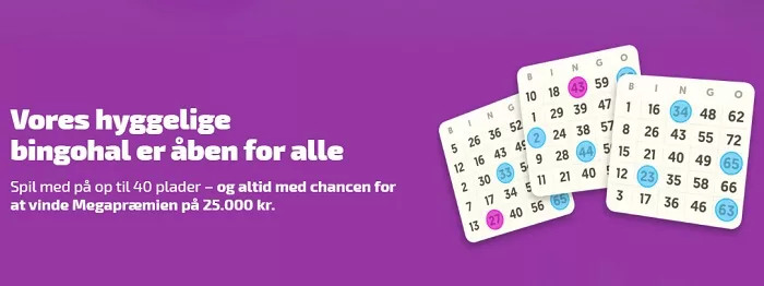 Spilnu.dk Bingo spiludvalg