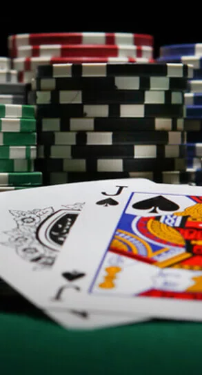 Blackjack guide