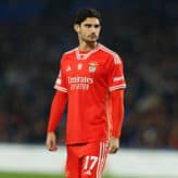 feature-image-364361