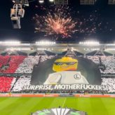 feature-image-381233