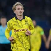 feature-image-422308