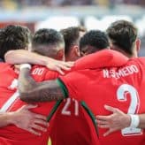 feature-image-431529