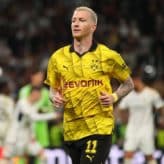 feature-image-424785