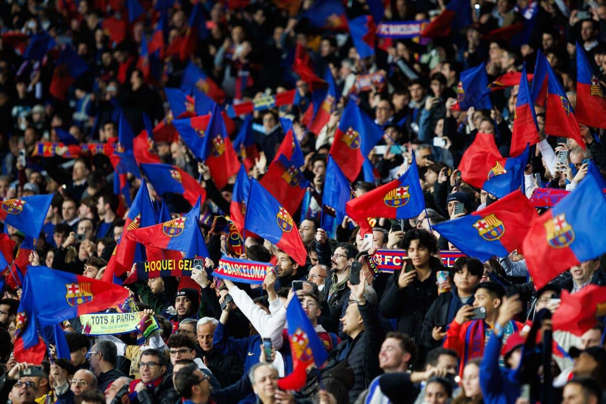 Fani Barcelony
