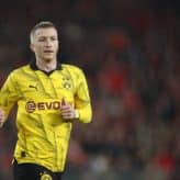 feature-image-445613