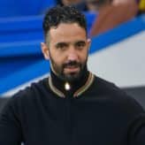 feature-image-595947