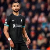 feature-image-589298