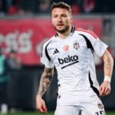 feature-image-672254