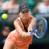 feature-image-683951