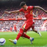 feature-image-606245