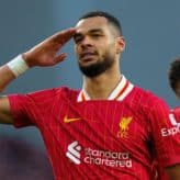 feature-image-605307