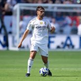 feature-image-695143