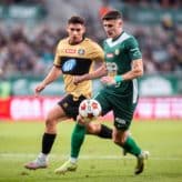 feature-image-631724