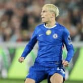 feature-image-694280