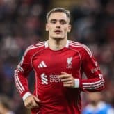 feature-image-629595