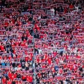 feature-image-632946