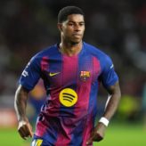 feature-image-641496