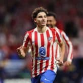 feature-image-640026