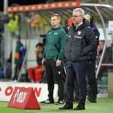 feature-image-647631