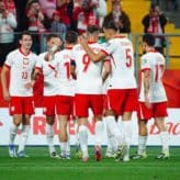 feature-image-647536