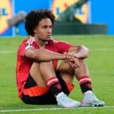 feature-image-686489