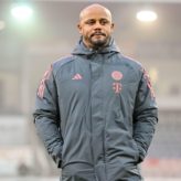 feature-image-677530