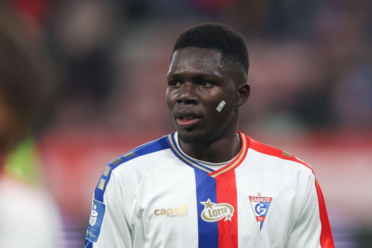 Ousmane Sow