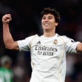 feature-image-663350