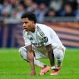 feature-image-663008