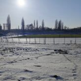 feature-image-669723