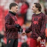 feature-image-663494