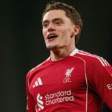 feature-image-678165