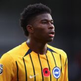 feature-image-675875