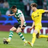 feature-image-688392