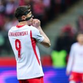 feature-image-690704