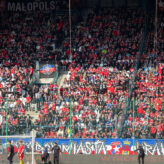 feature-image-684713