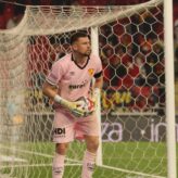 feature-image-690363