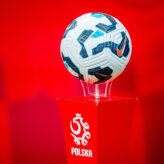 feature-image-683736