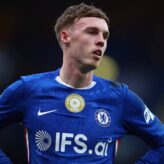 feature-image-694831