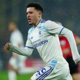 feature-image-694271