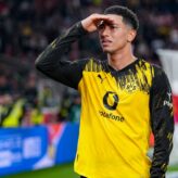 feature-image-694522