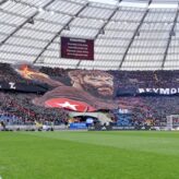 feature-image-697697