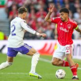 feature-image-701599