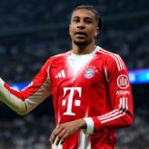 feature-image-694898