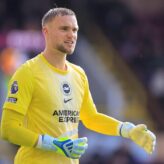 feature-image-695445