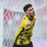 feature-image-699939