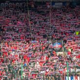 feature-image-695794